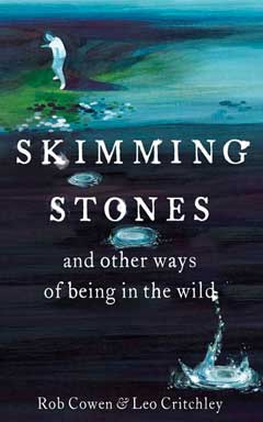 Book cover: a stone skimmer by a lake